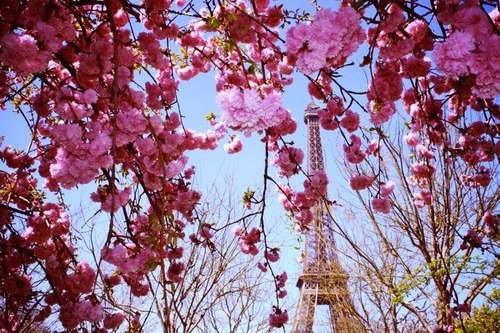 photo by http://wirebirdy.tumblr.com/